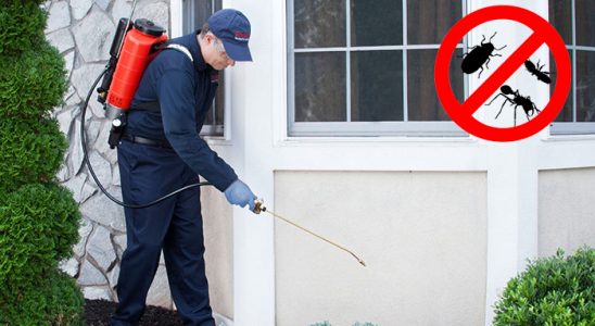 Bayramiç Hamam Böceği İlaçlama böcek ilaçlama ve haşere kontrolü — ilaclama-tr.com